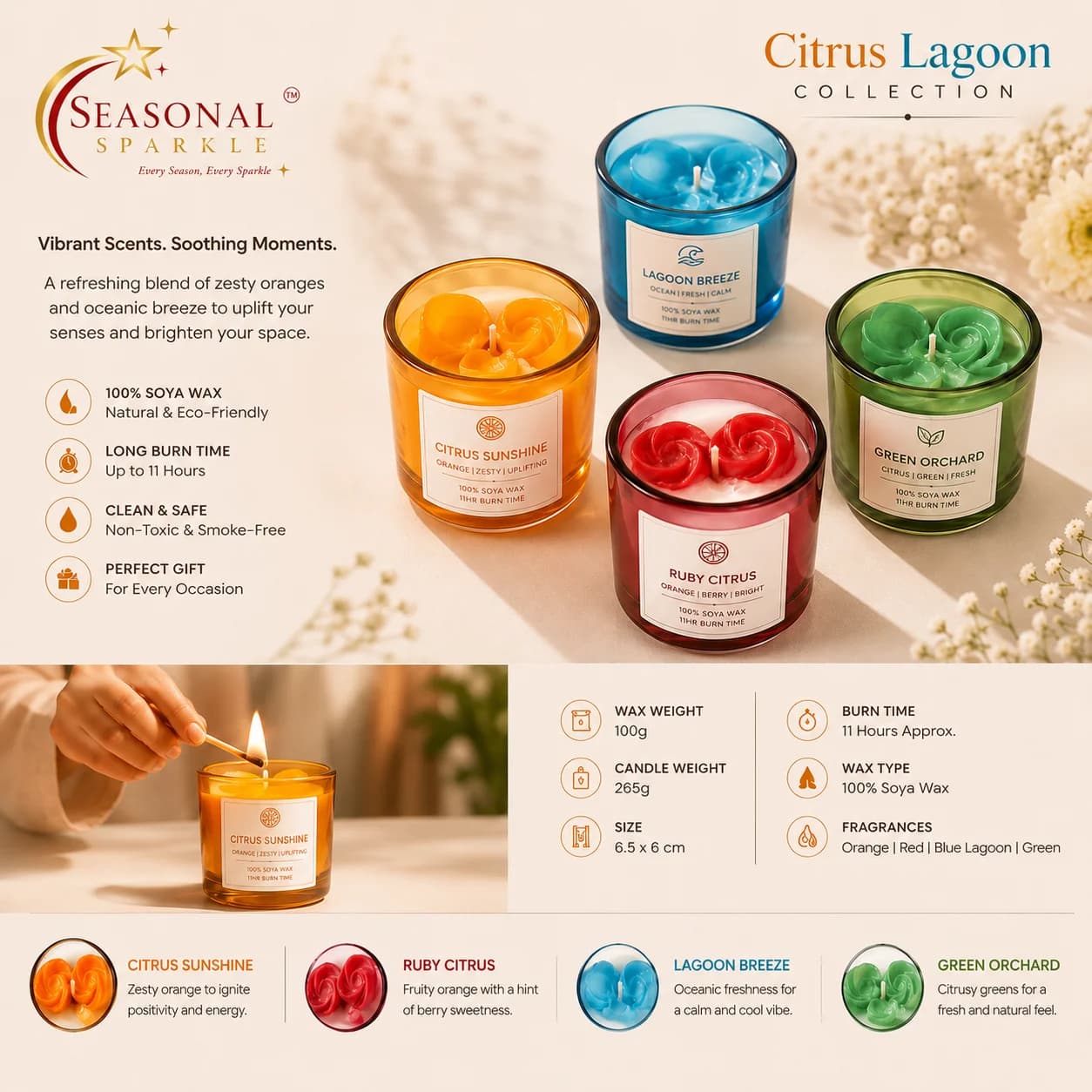 Citrus Lagoon Collection (Set of 4)